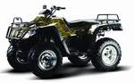  Top Motor WP 300 4WD